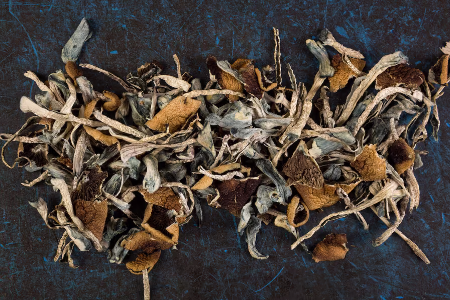 Liberty Cap mushroom (Psilocybe semilanceata) is potent psilocybin-containing fungi found in regions like New South Wales, Victoria, and Queensland.